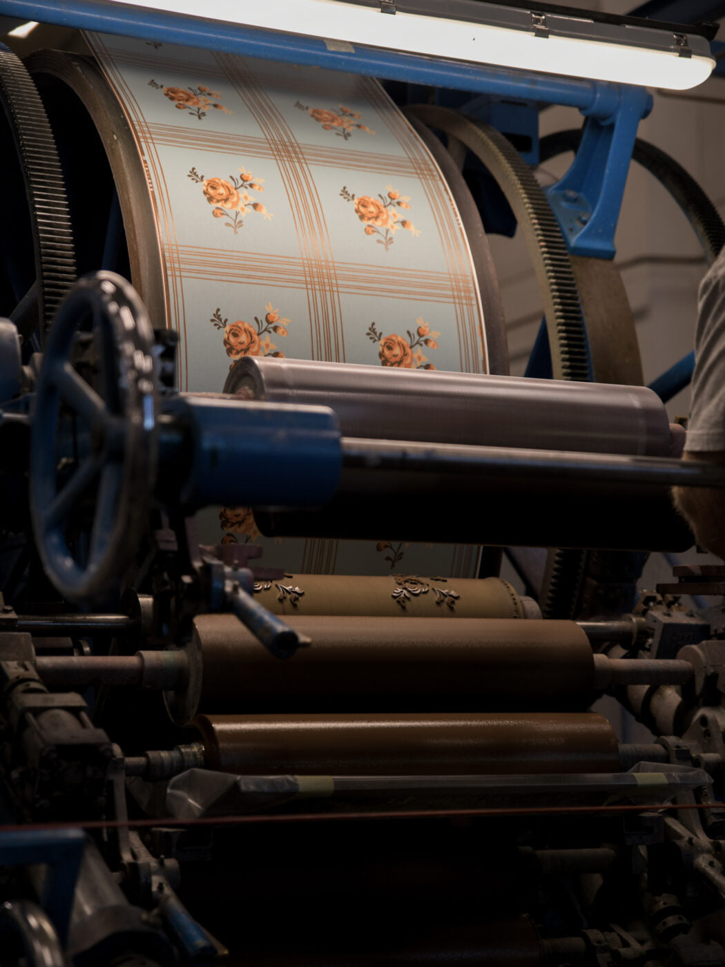 Rose Dala Blue - 33-64