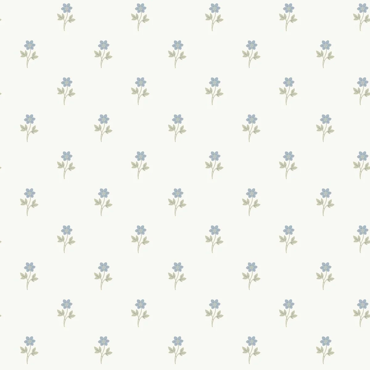 This graceful Anemone wallpaper has blue anemone flowers with green leaves on a white background.