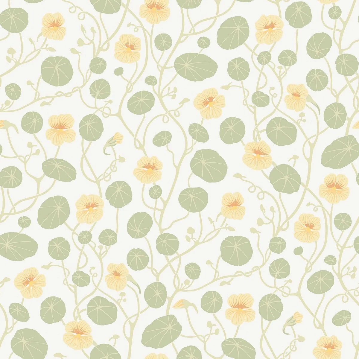 Krasse wallpaper is filled with cheerful Rock Cress flowers in bright yellow tones, with fresh green leaves and winding stems on a white background.