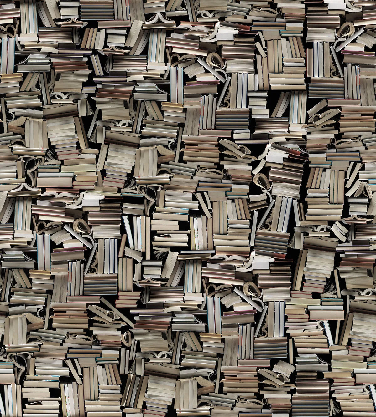 Light Books - 9533W Mural