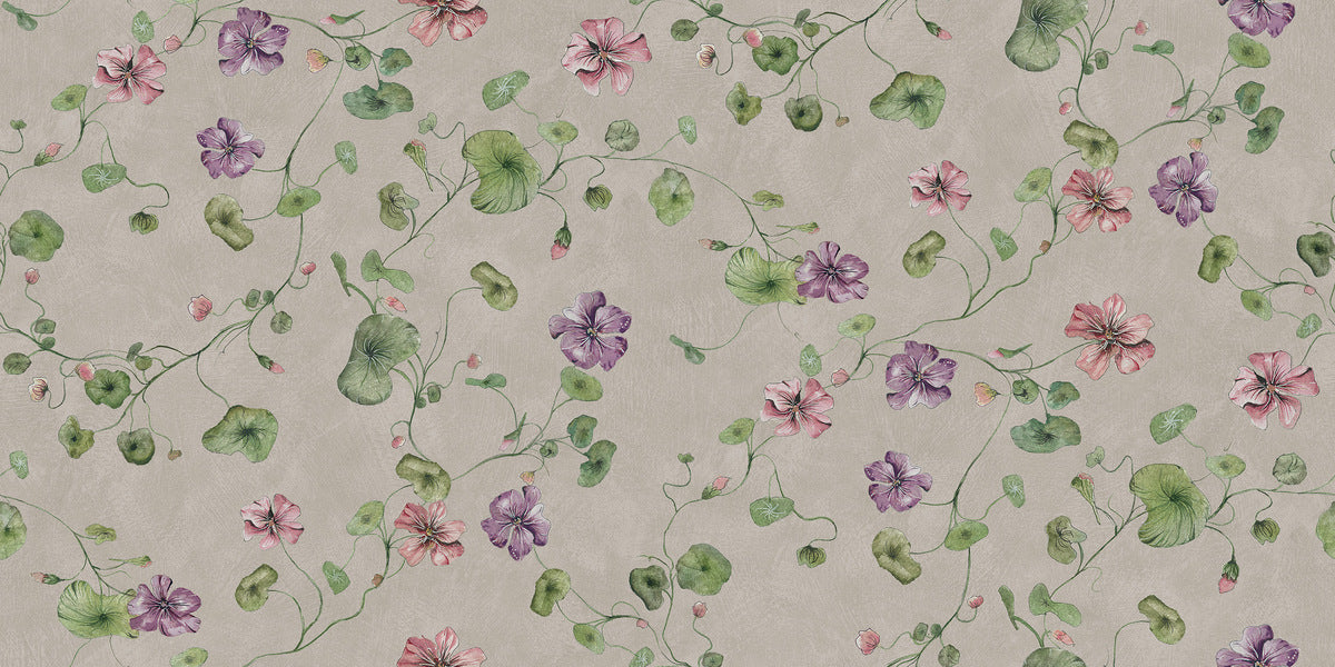 Violetta is a cozy, floral wallpaper, covered with delicate yet vibrant nasturtium flowers in pink and violet on a warm gray background, resembling a lime wall.