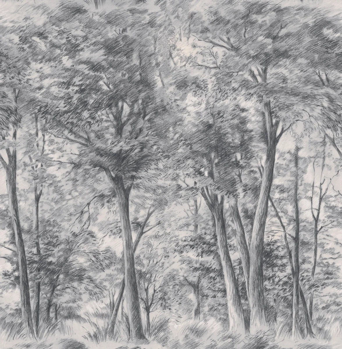 The Sketch of Trees wallpaper transforms your room into a snapshot of a vibrant forest, captured in the midst of a breeze.