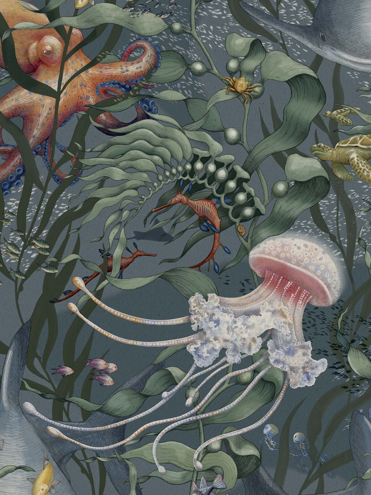 The Underwater Magic Grand wallpaper is covered in a large-scale underwater forest of swaying kelp, filled with starfish, jellyfish, turtles, octopuses, and other fascinating creatures.