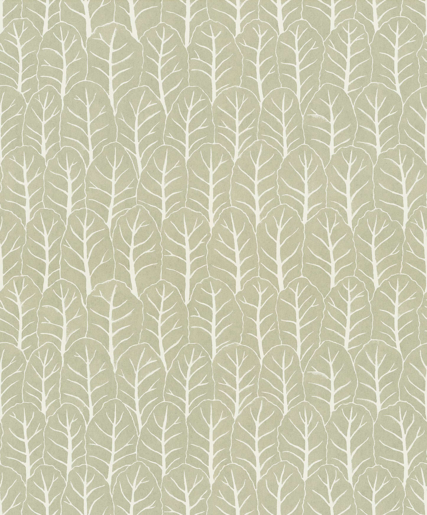 Coleslaw Laurel Green - 02-15