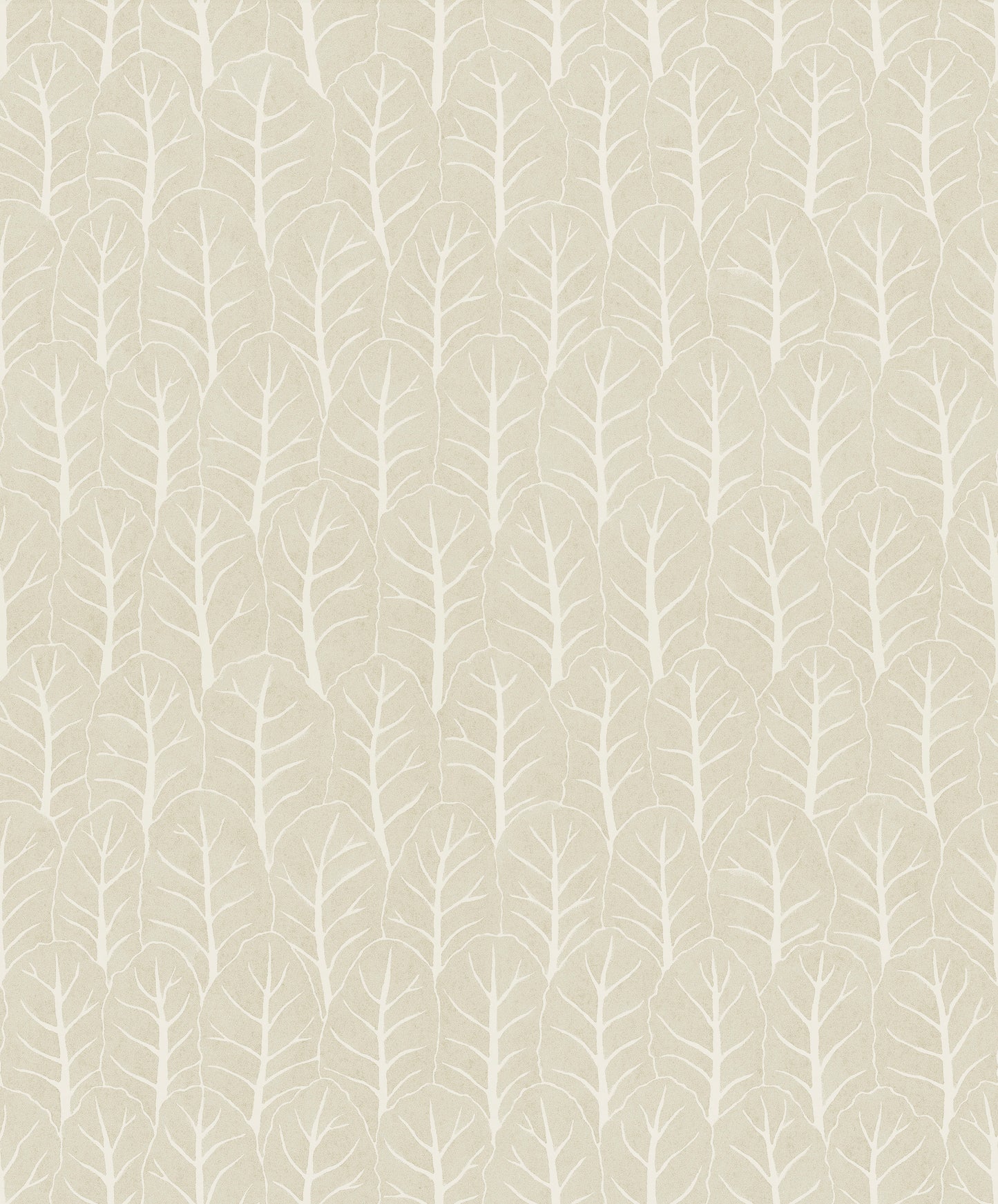 Coleslaw Oatmeal - 02-21