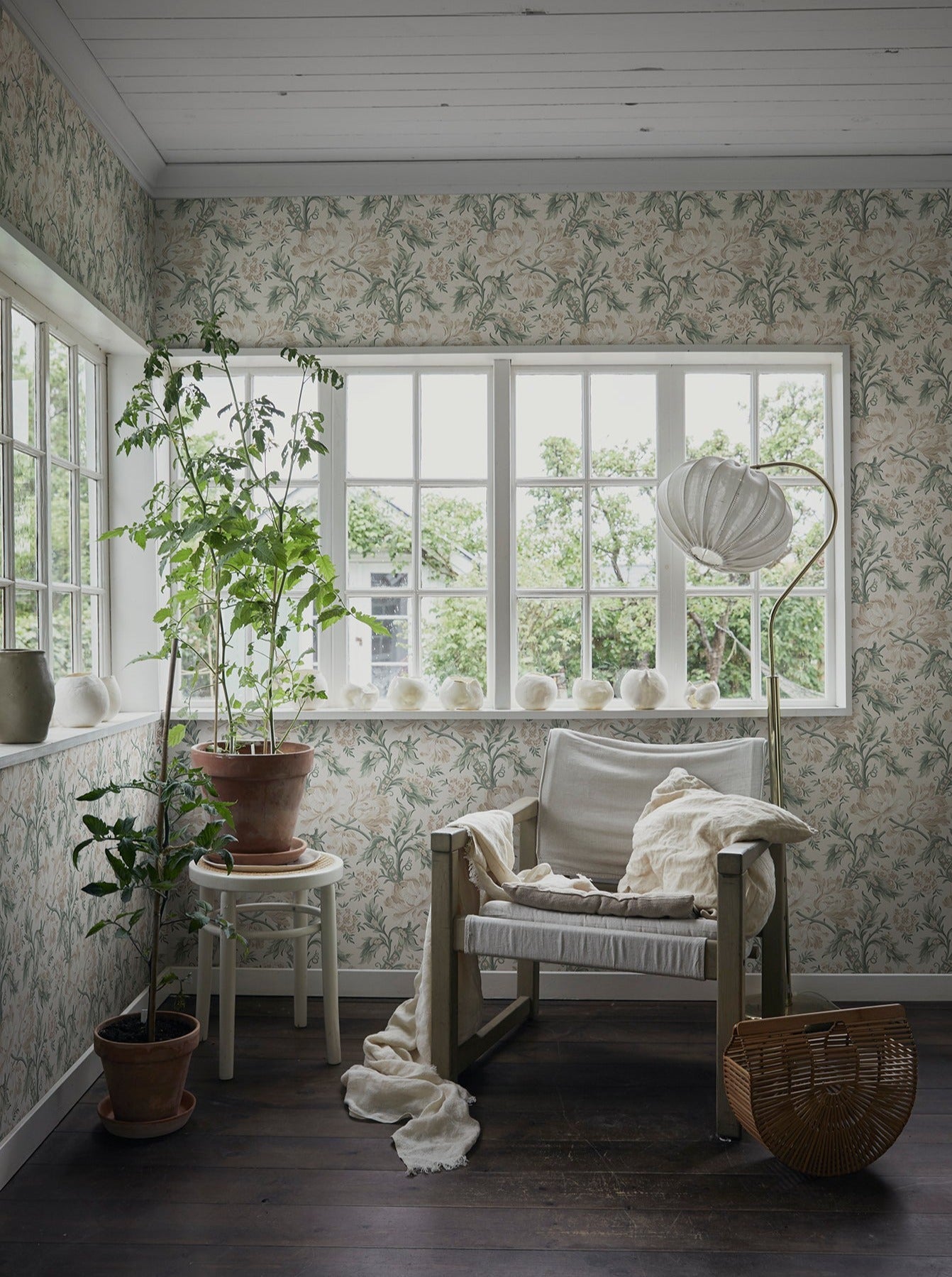 Amelia Eggshell - S10252