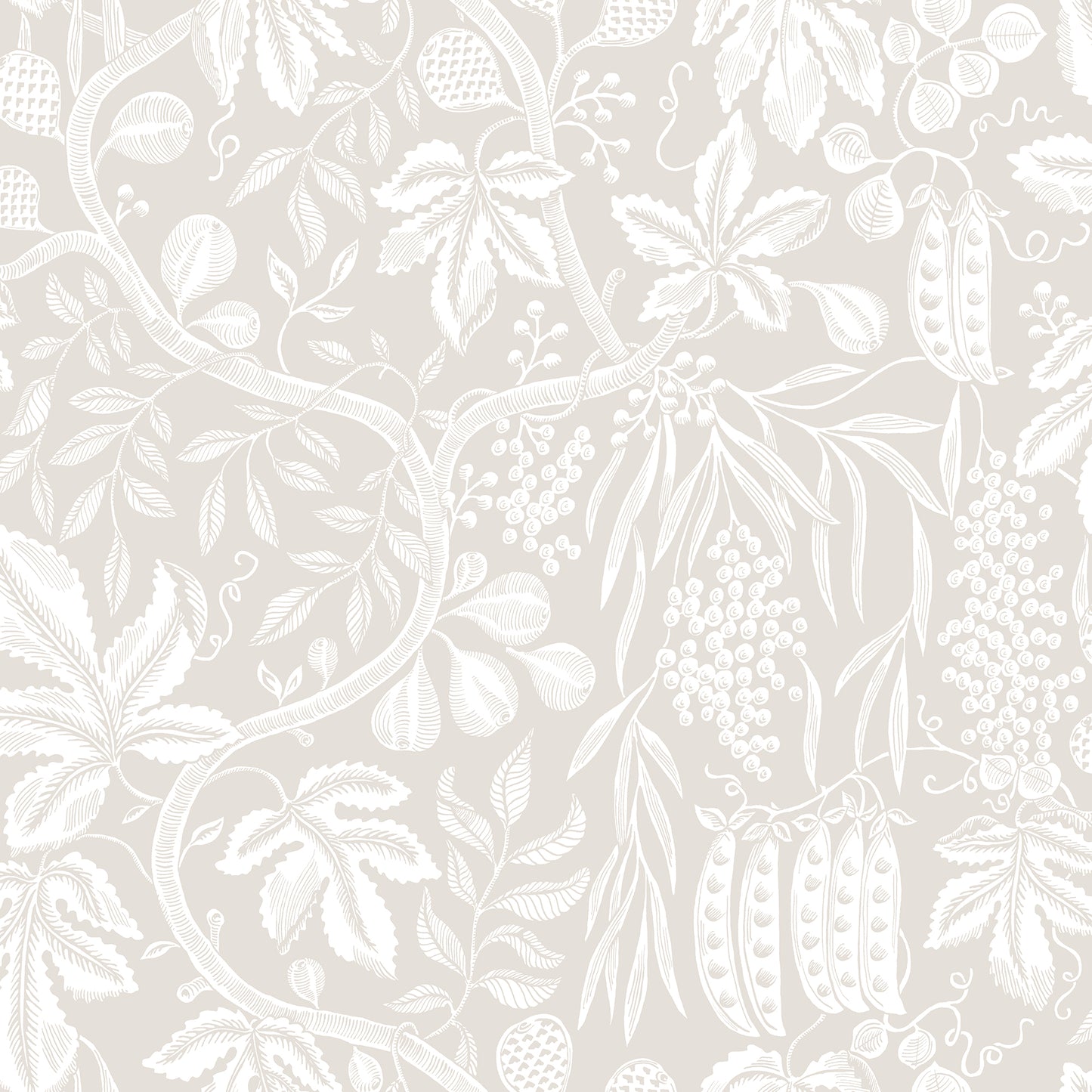 Fig Garden Sandstone - S10258