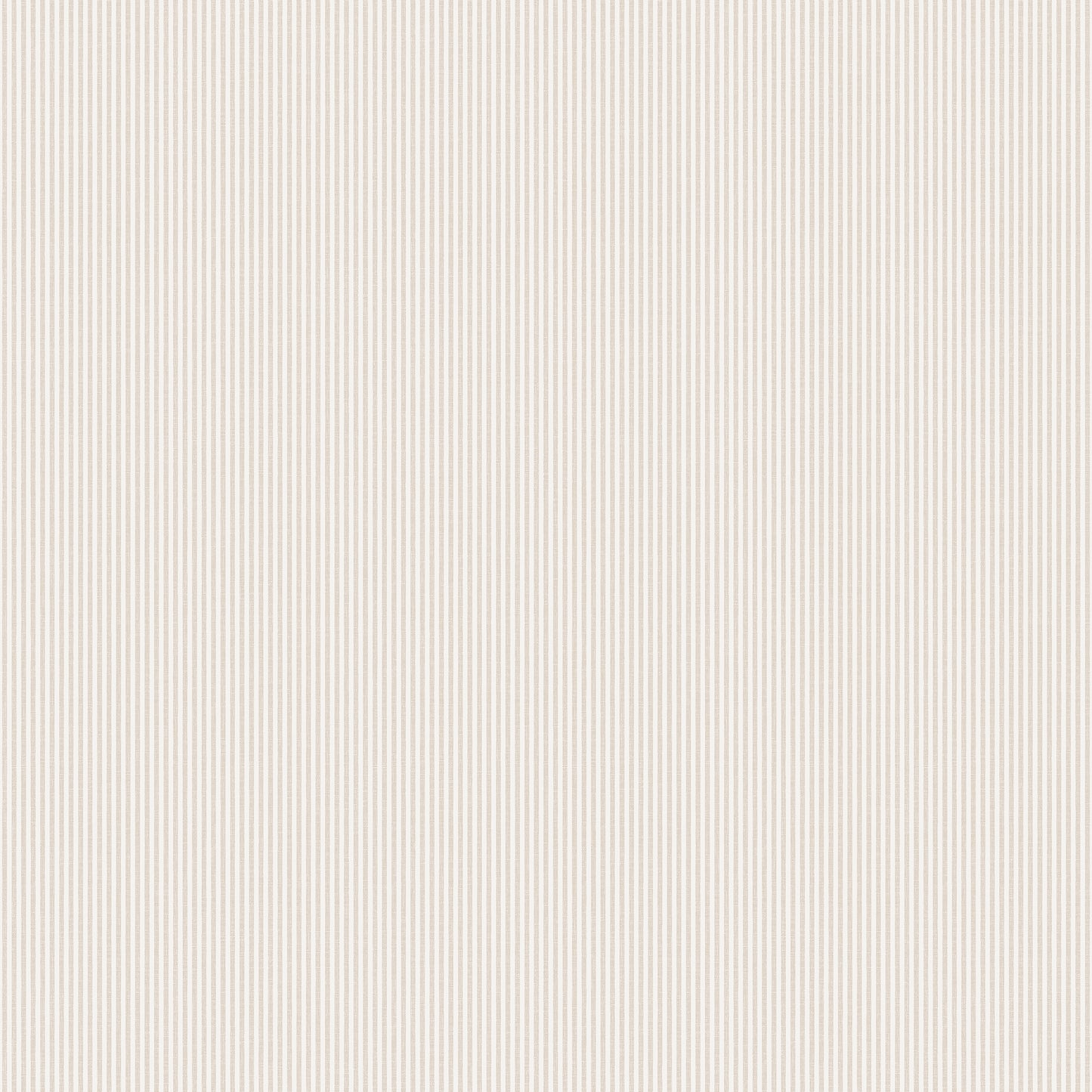 Rand Sandstone - S10288