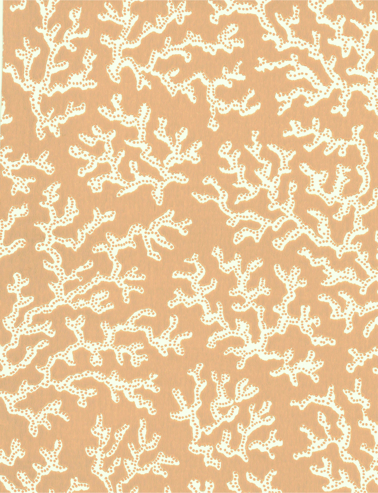 Coral Peach - 39-58