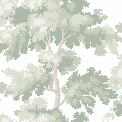Raphael is one of our most popular wallpapers. The pattern gives you treetops in a wide range of color combinations.