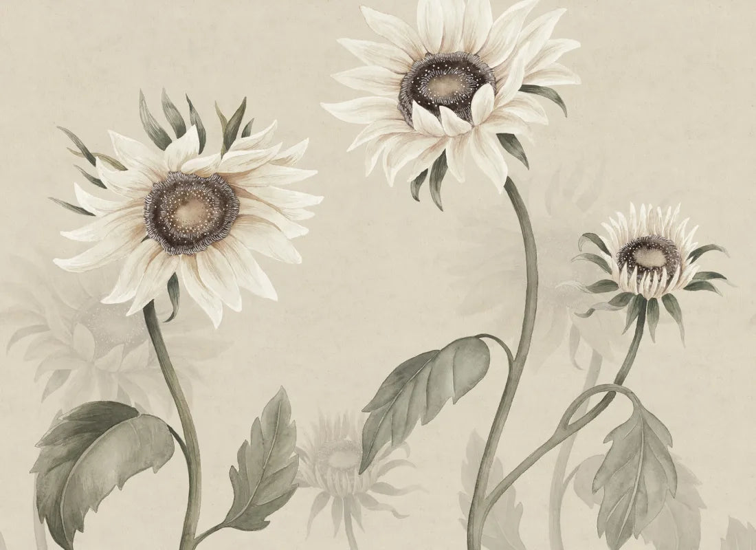 Sunflowers, White - S10529 Mural