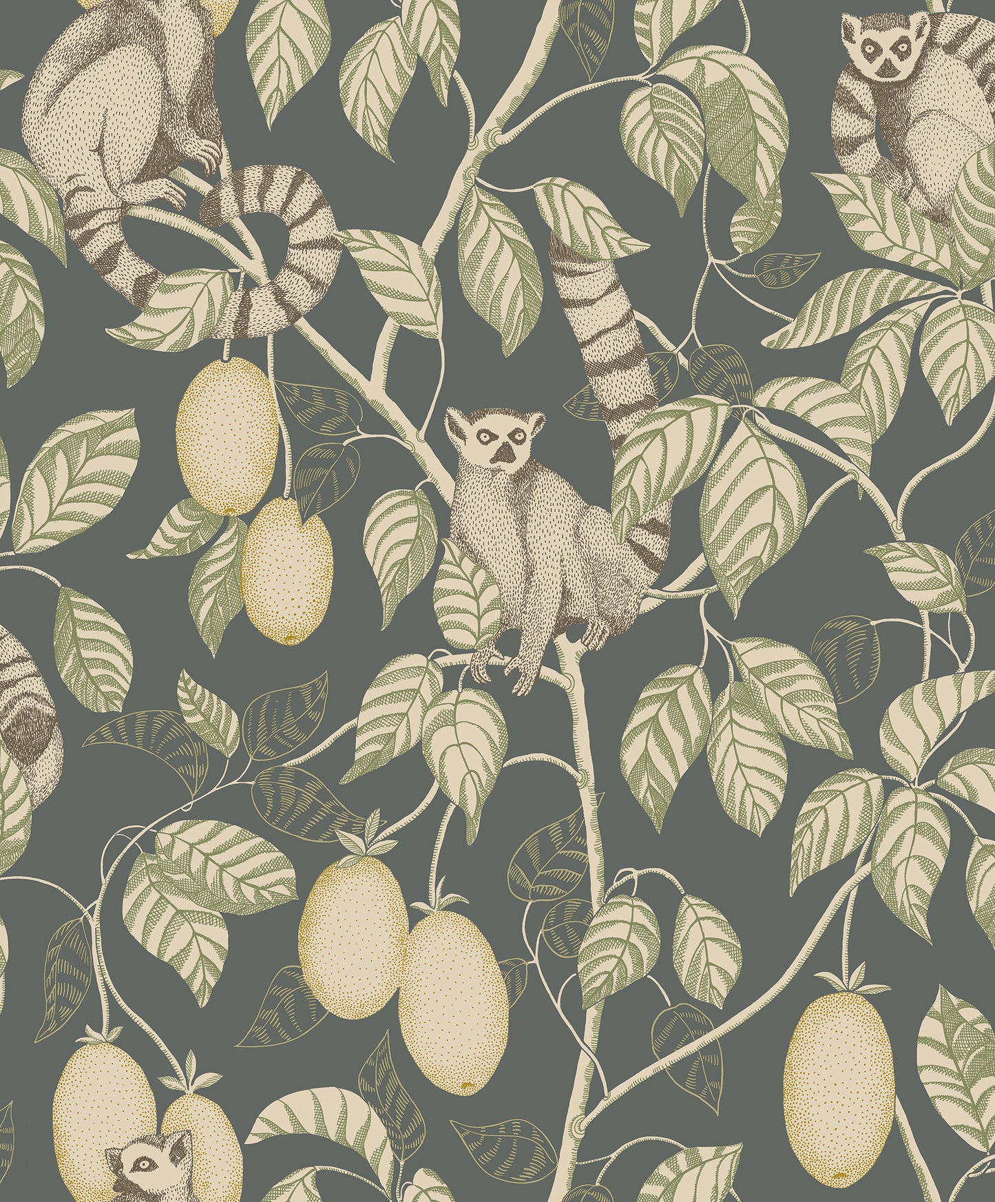 Invite the curious charm of exotic lemurs into your space with the Elliot wallpaper.