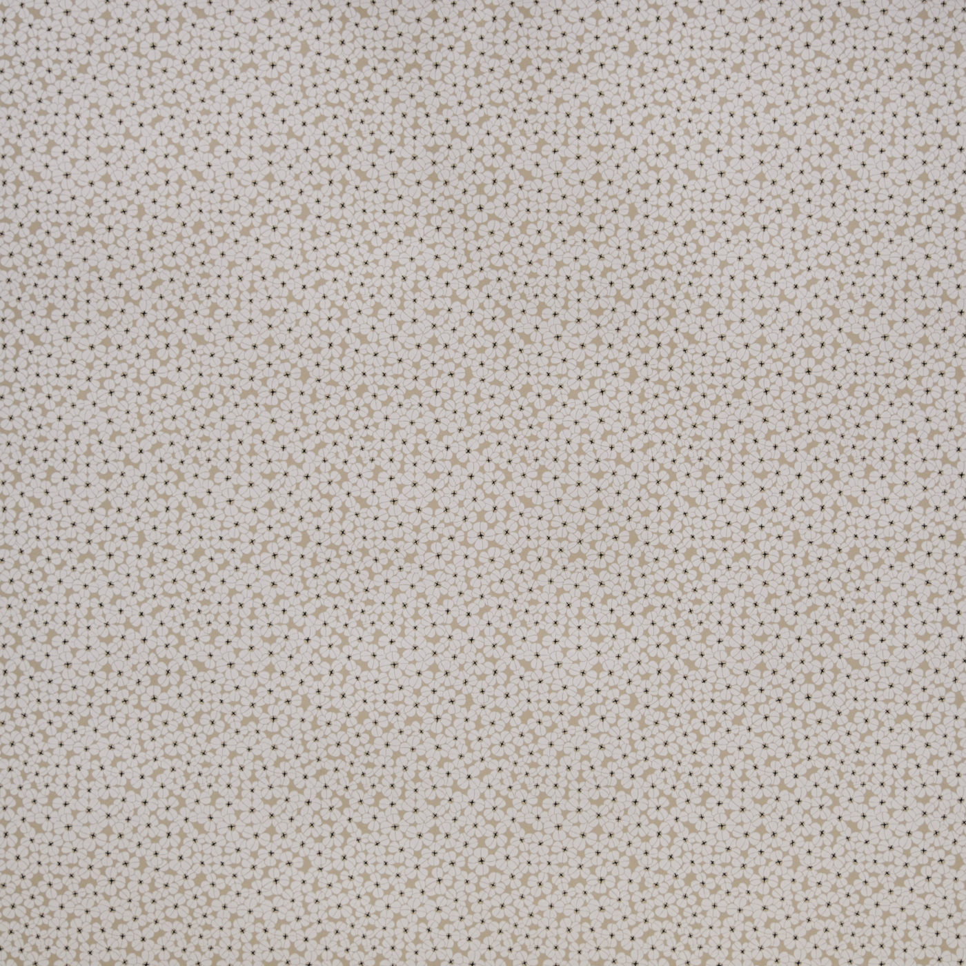 The oxalis forms a shower of flowers in this wallpaper design.