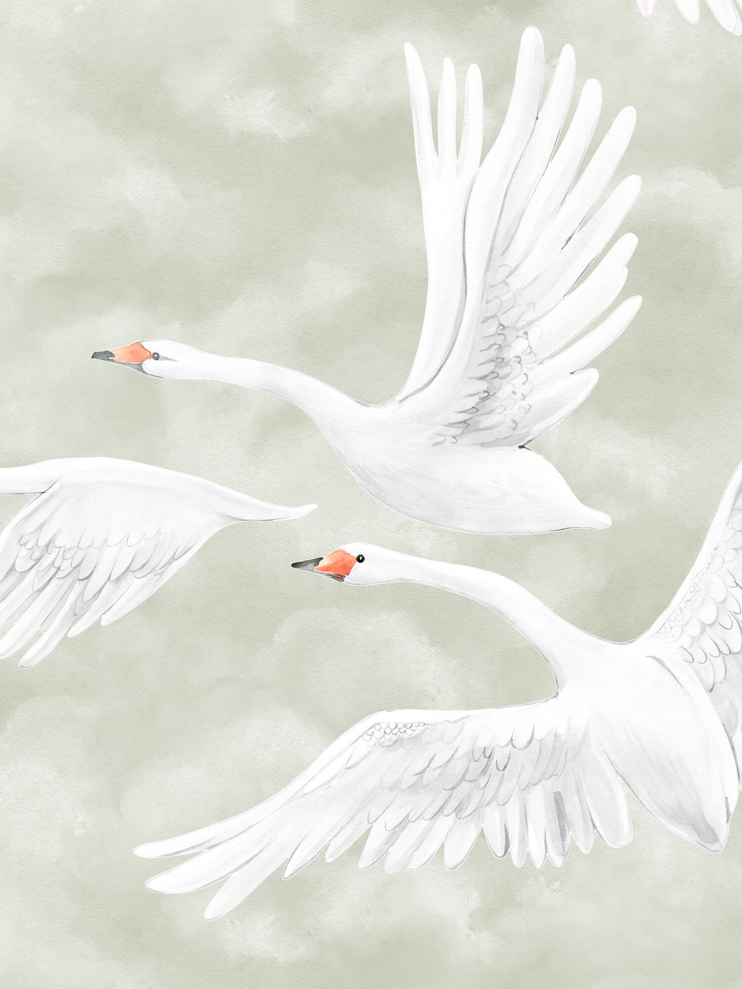 Clouds Swans - 9414W Mural