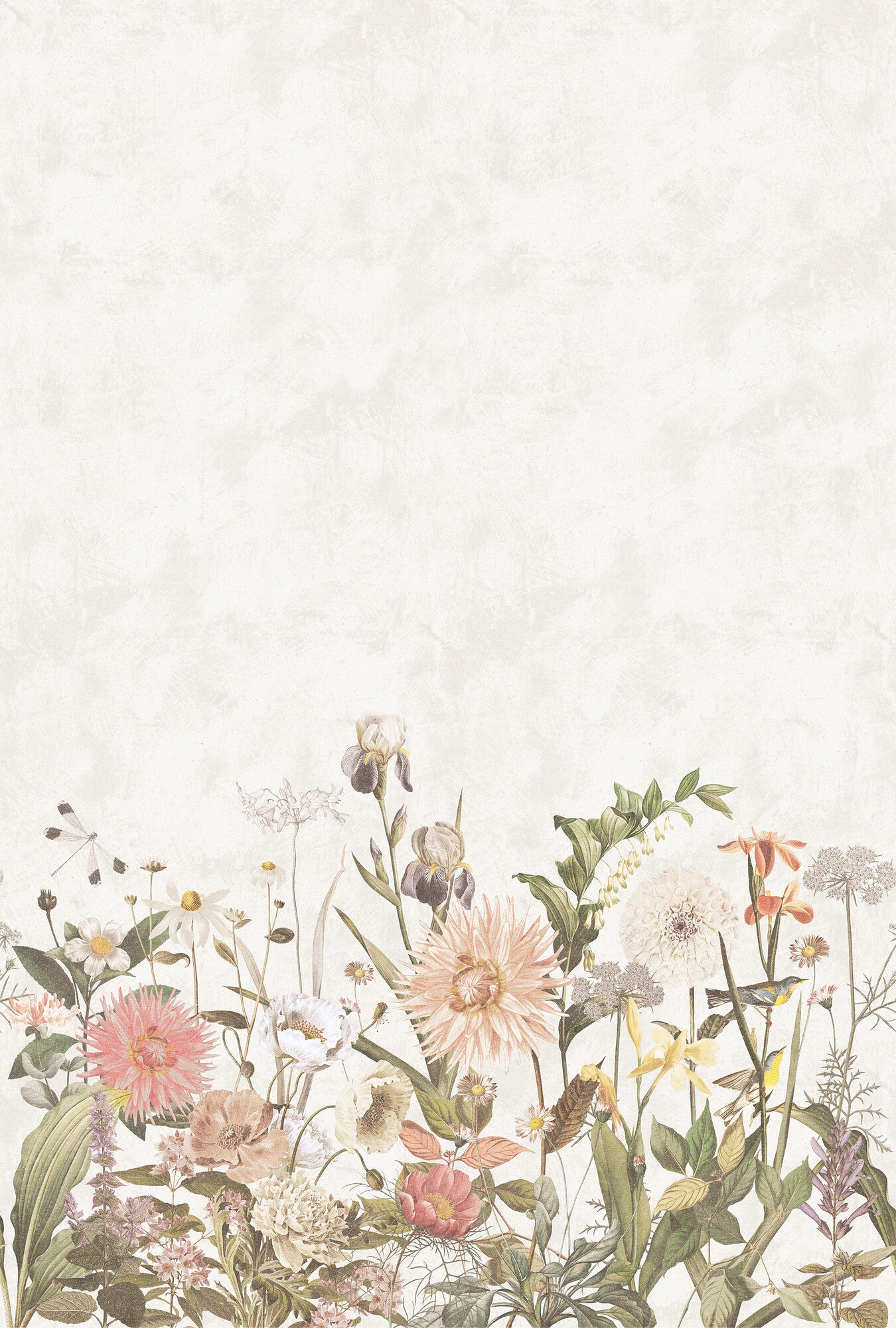 Dahlia - 9418W Mural