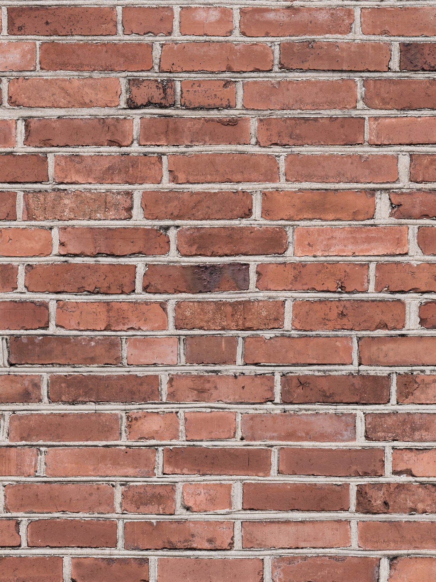 Realistic Brick Wall - 9446W Mural