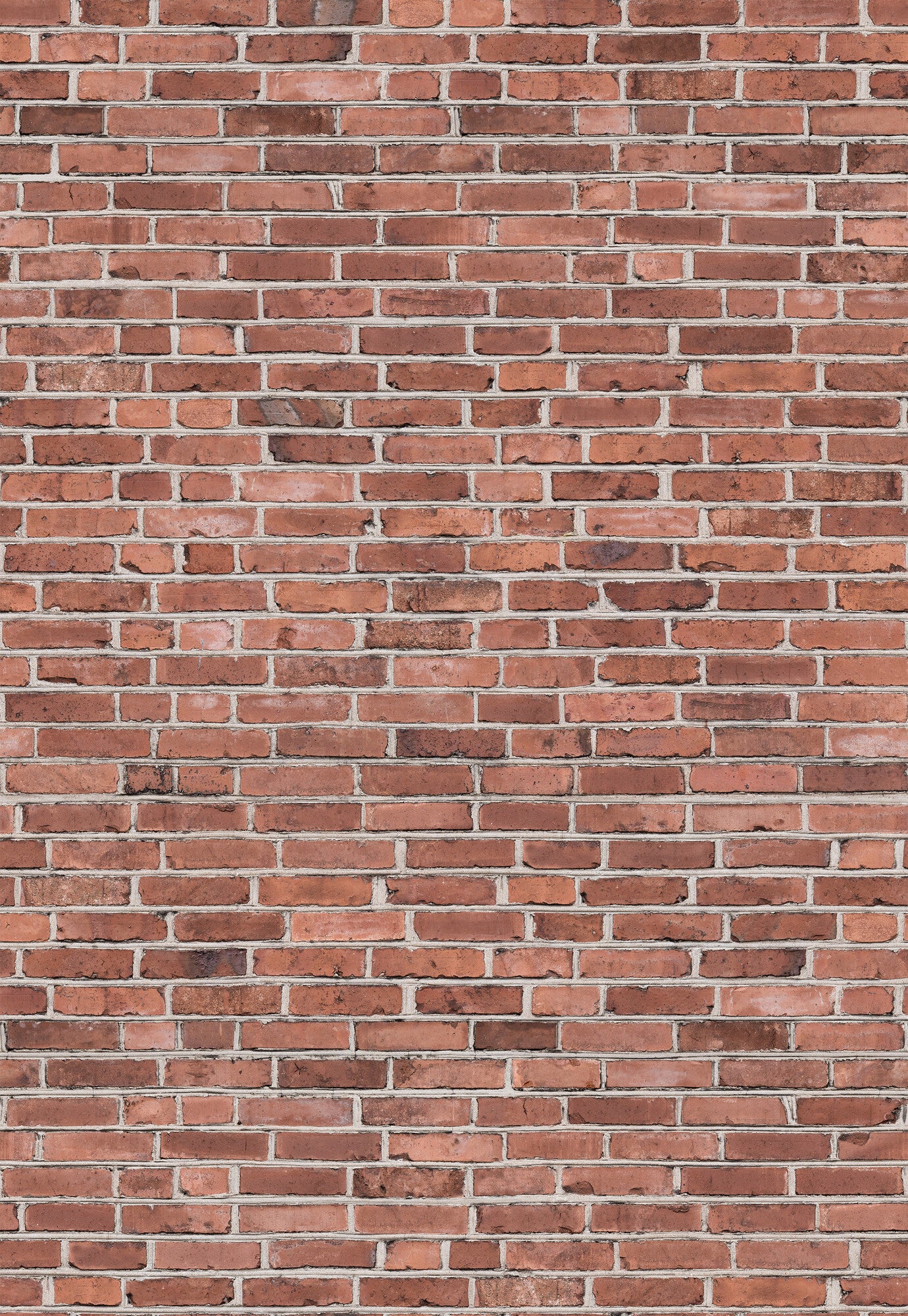 Realistic Brick Wall - 9446W Mural