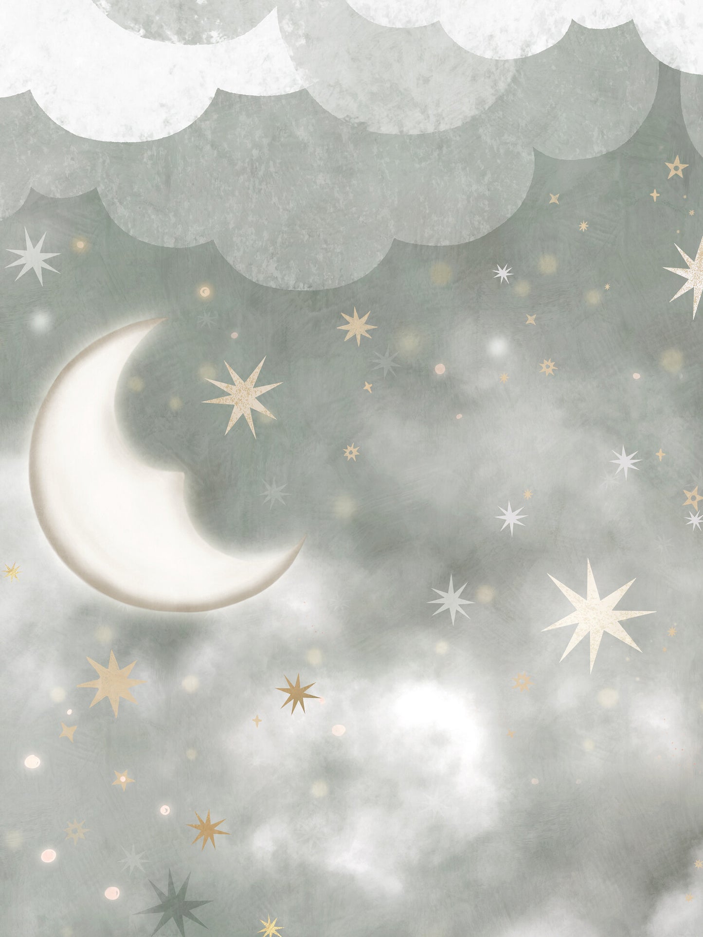 Stars in the Sky - 9448W Mural