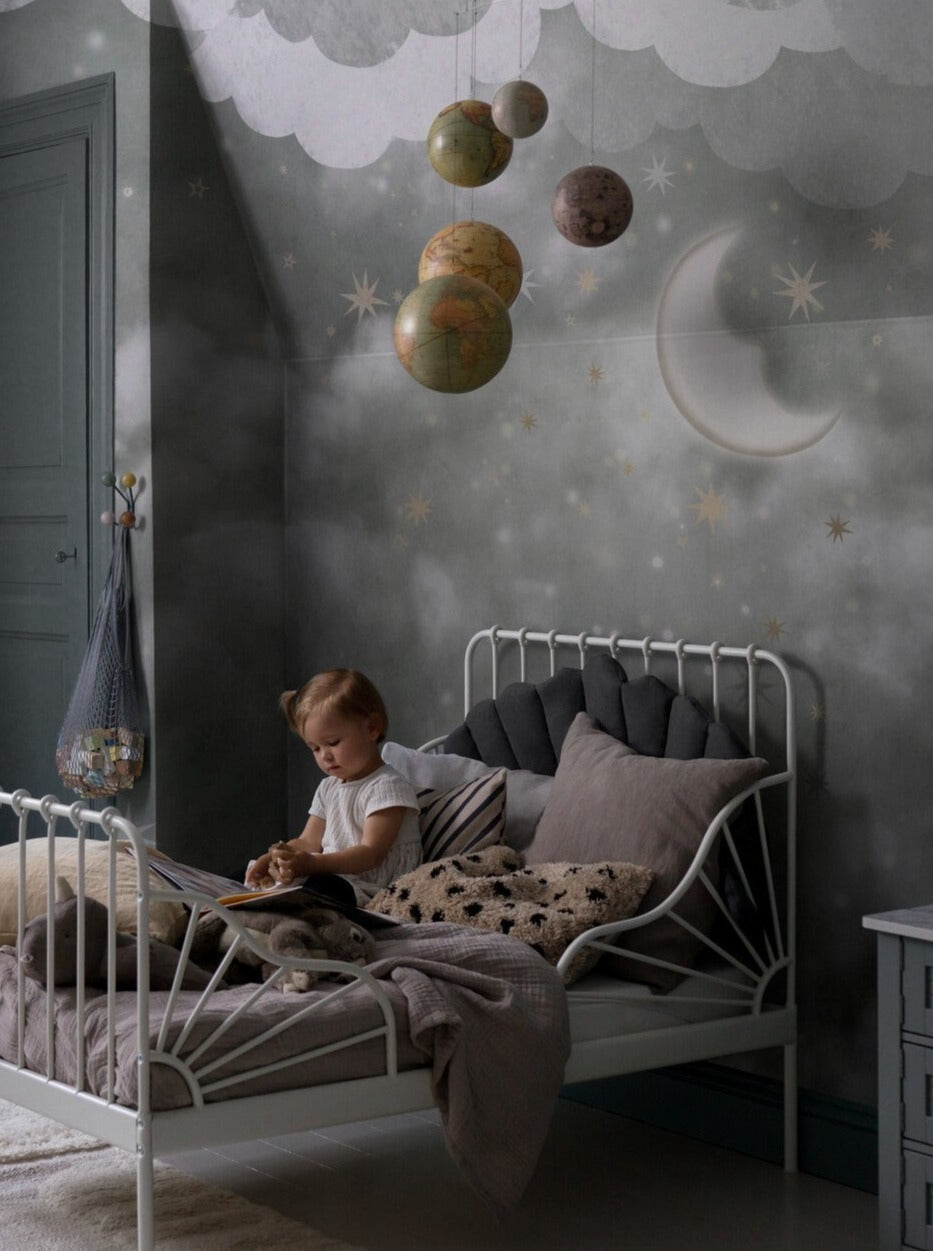Stars in the Sky - 9448W Mural