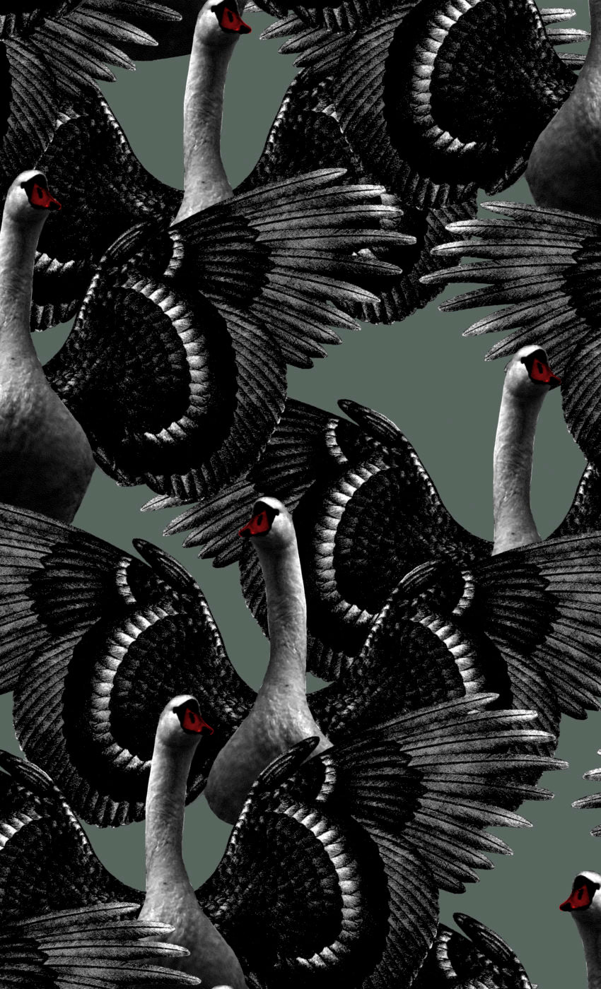 Swan Lake Green - 1175