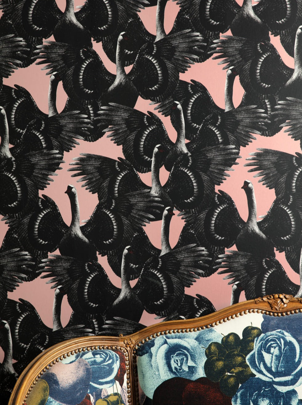 Swan Lake Pink - 1174