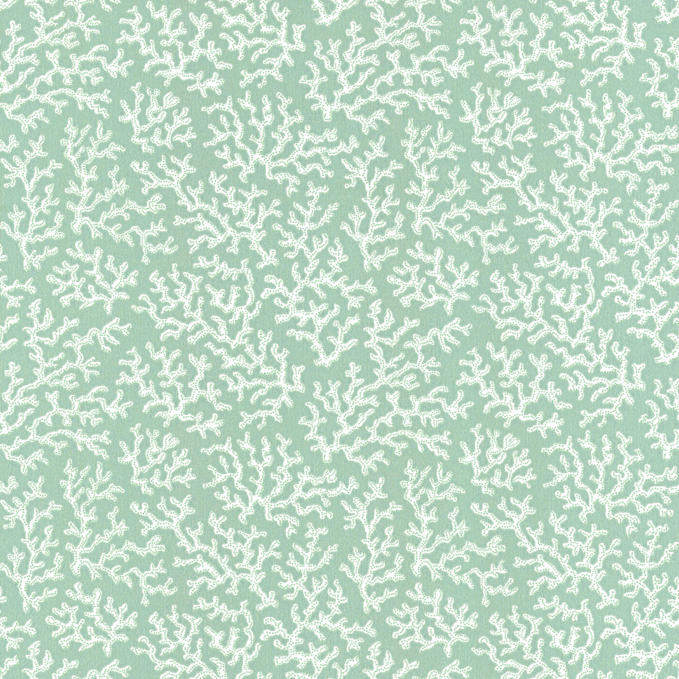 Coral Aqua - 39-55