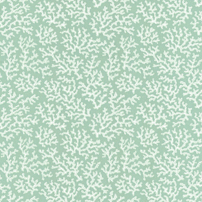 Coral Aqua - 39-55