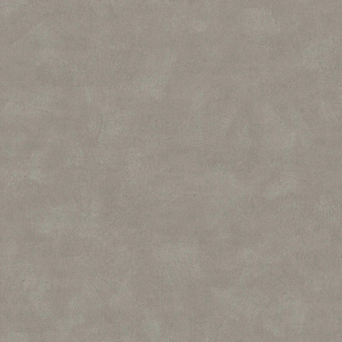 Shades Quartzite - 5054