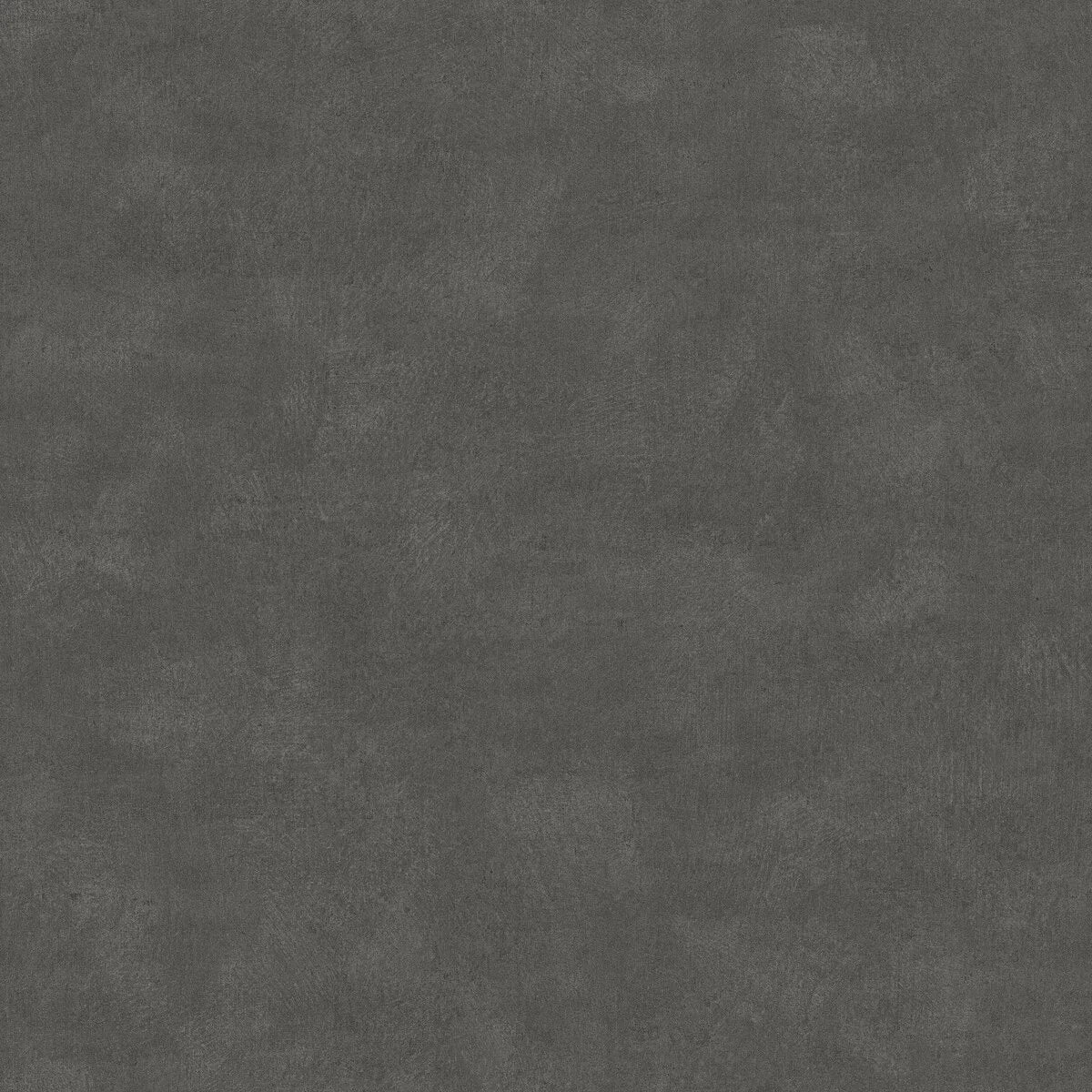 Shades Anthracite - 5056