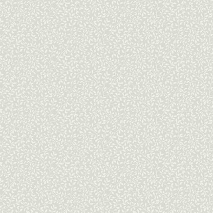 Folke, Gray - 538-01