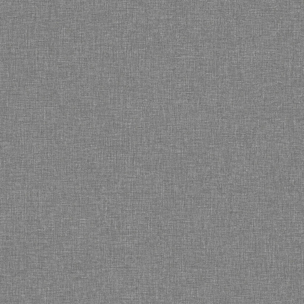 Canvas Graphite - 6119
