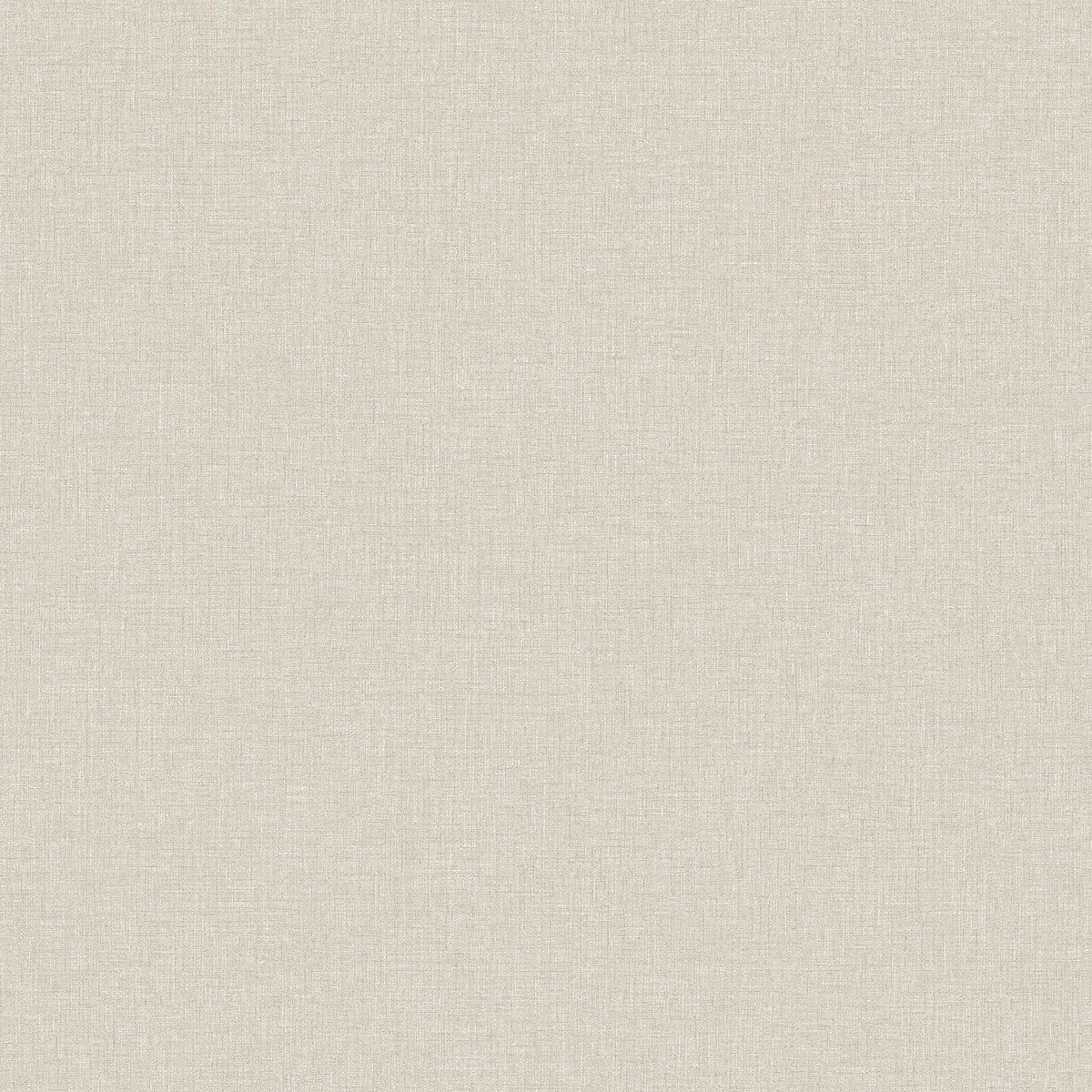 Canvas Oyster - 6123
