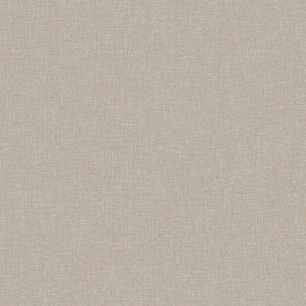Canvas Taupe - 6124
