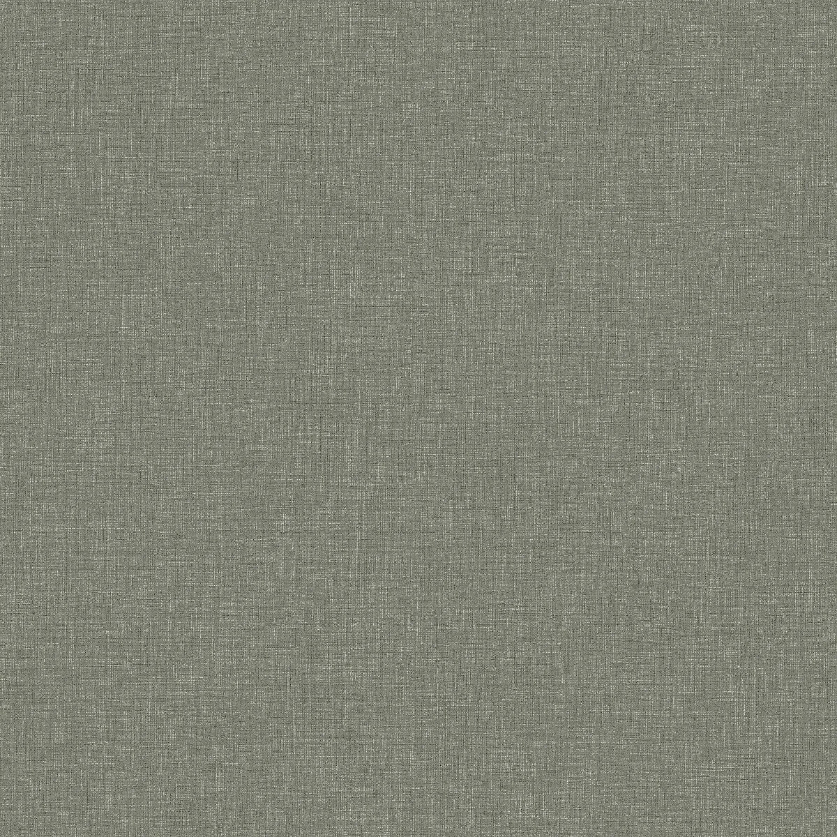 Canvas Forest - 6128