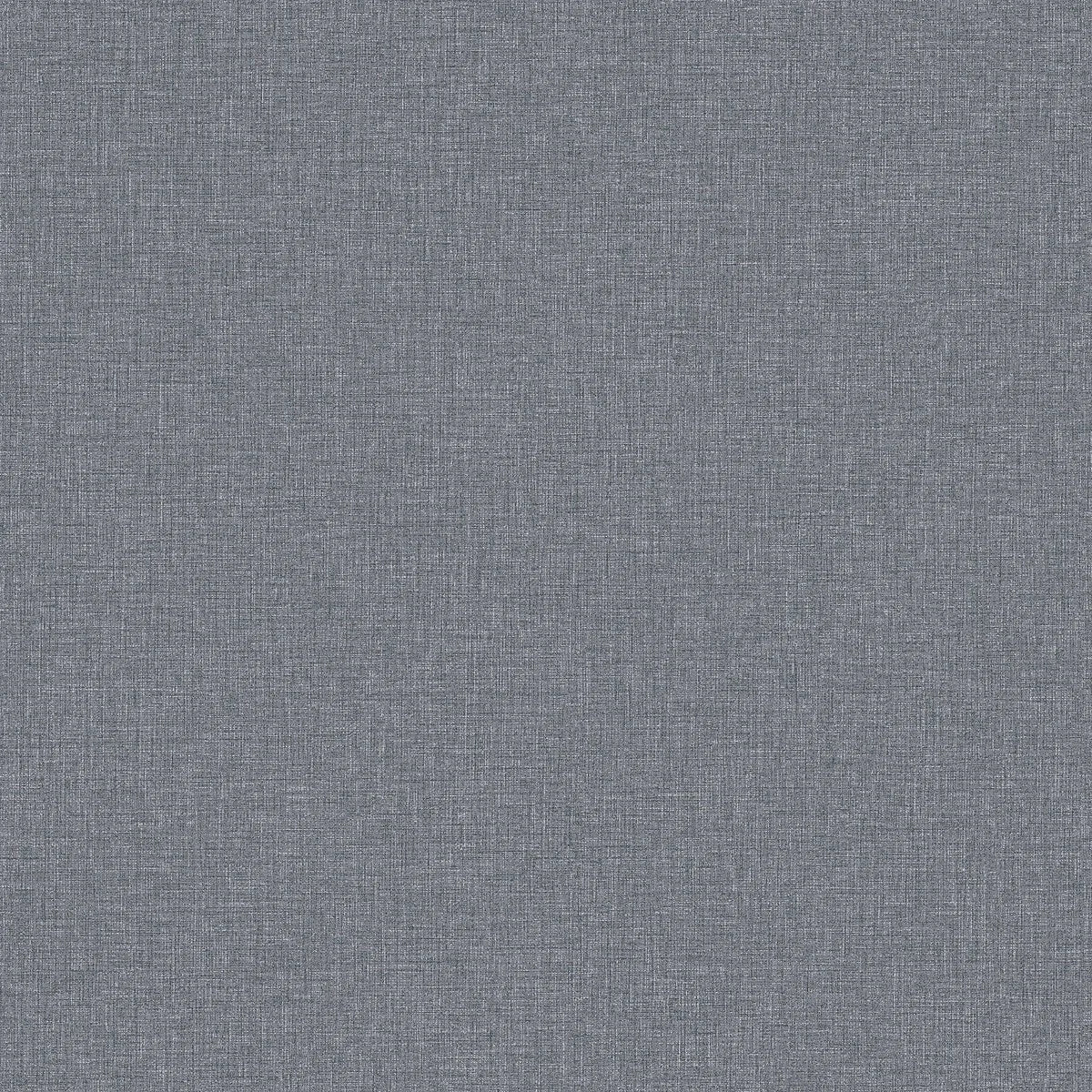 Canvas Indigo - 6134