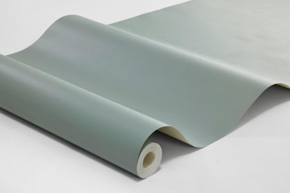 Sea Breeze is a powdery grey-green wallpaper with soft hints of blue that give the color a cool, poetic expression.