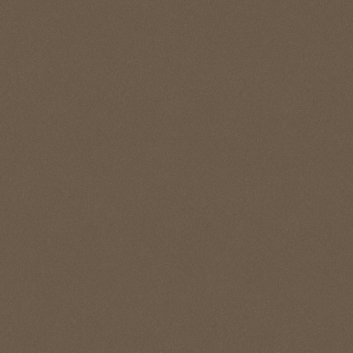  Earth Sand is a rich dark brown wallpaper inspired by natural earth pigments. 