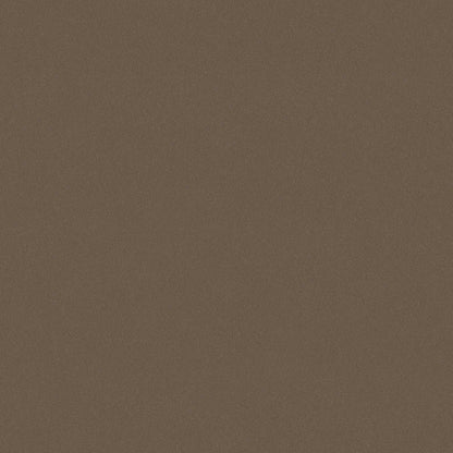  Earth Sand is a rich dark brown wallpaper inspired by natural earth pigments. 