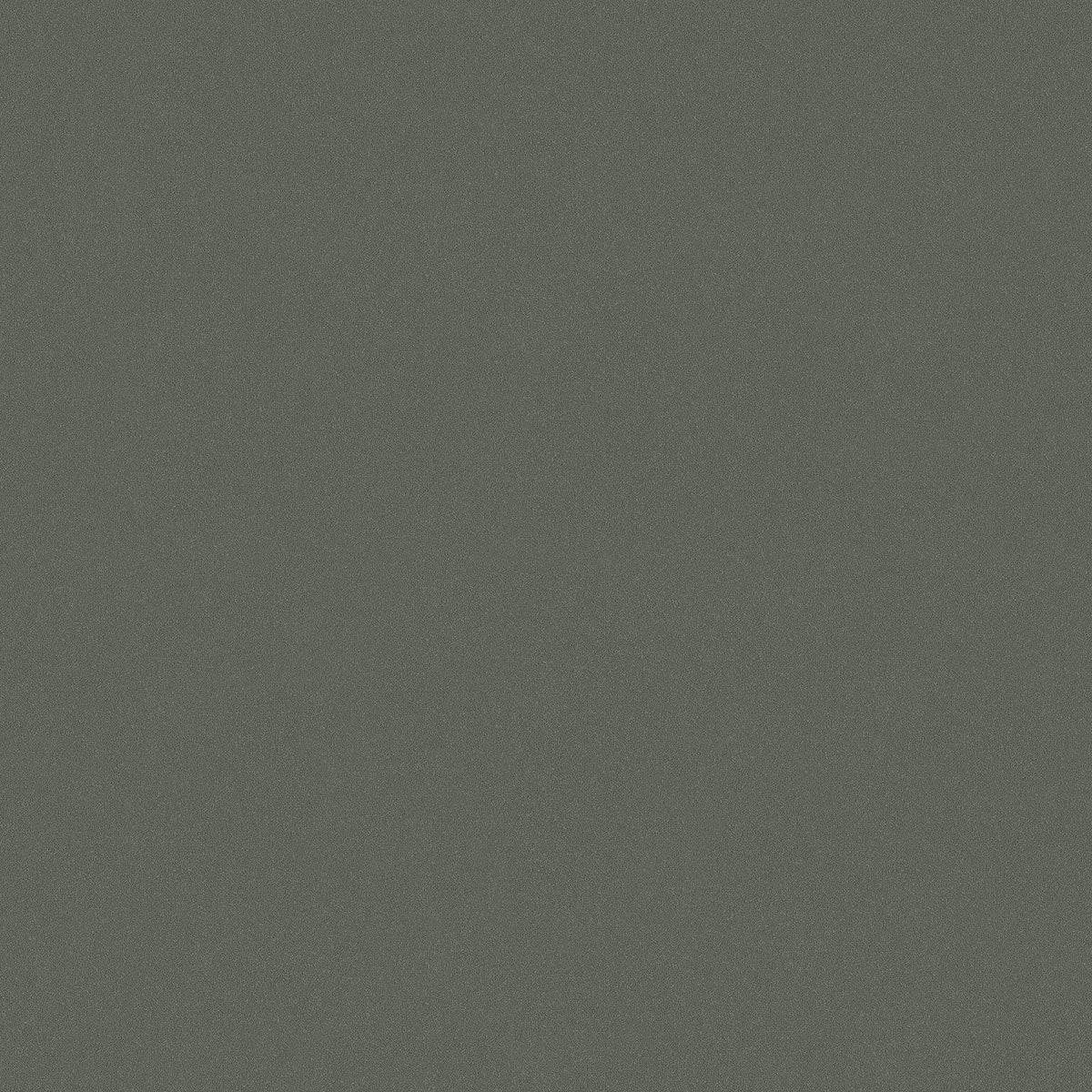 Forest Sand features a deep, warm green shade inspired by the stillness and dense greenery of the Nordic forest.