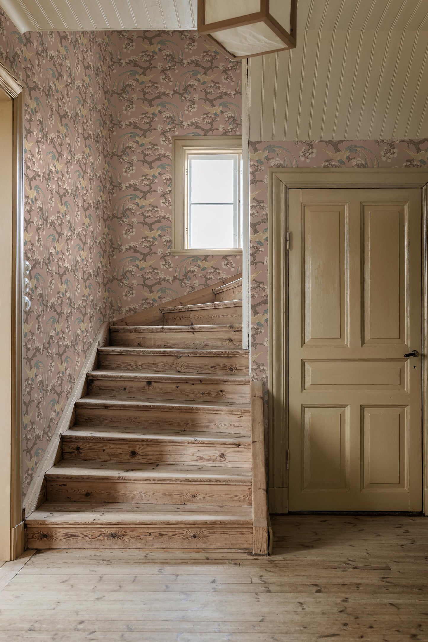 Colored in a soft pink background, our Fenix wallpaper captures a romantic and uplifting expression. 