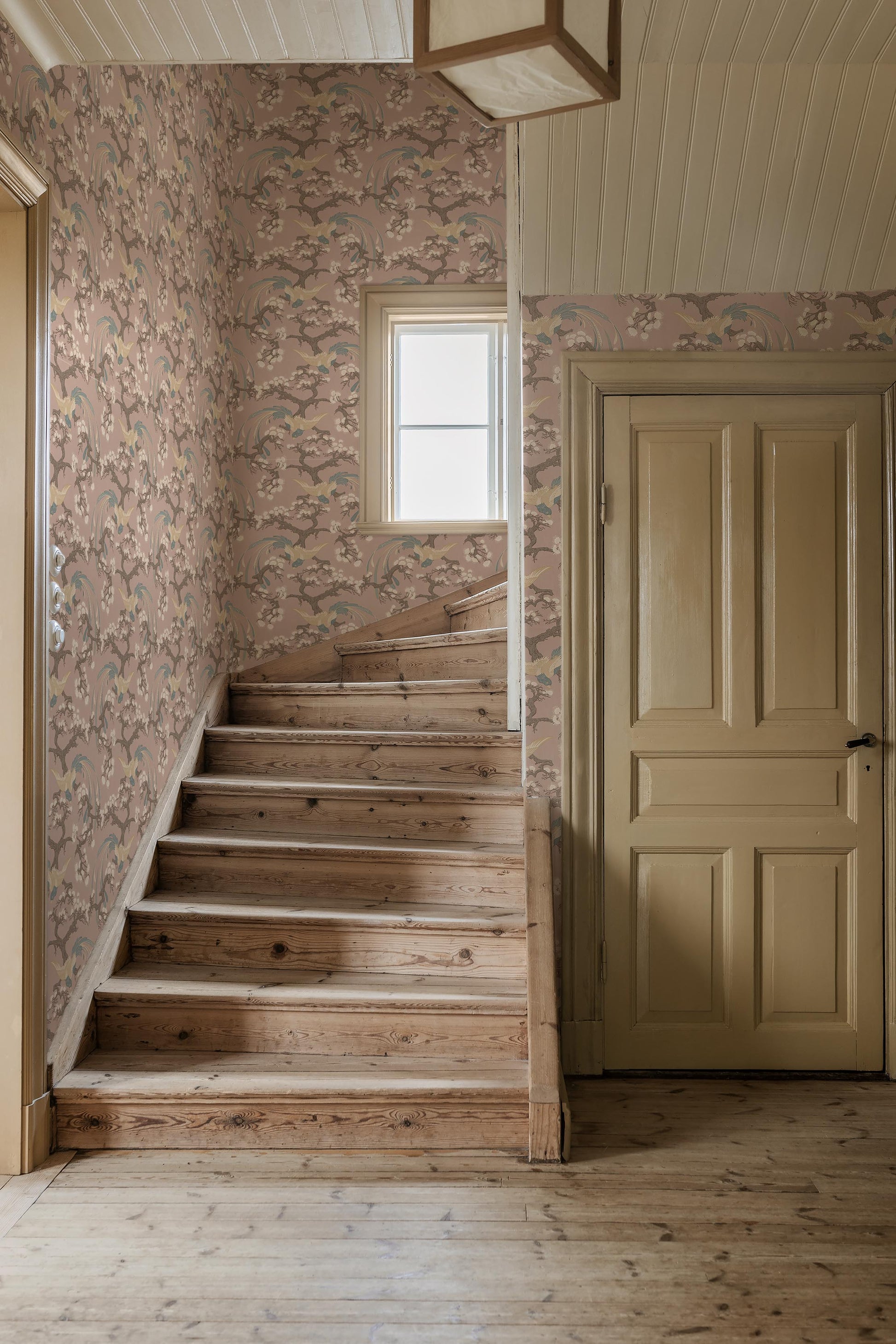 Colored in a soft pink background, our Fenix wallpaper captures a romantic and uplifting expression. 