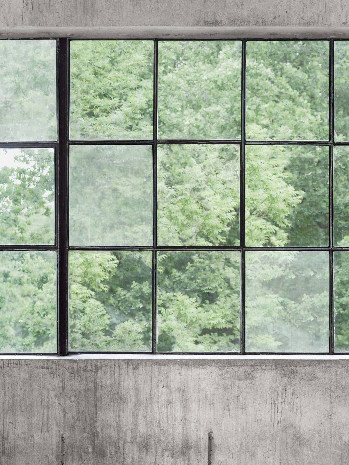 This stylish wallpaper invites nature through large window muntins and transports you to an old textile factory, much owing to its concrete effect. 