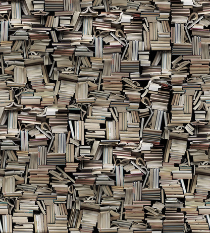 Light Books - 9533W Mural