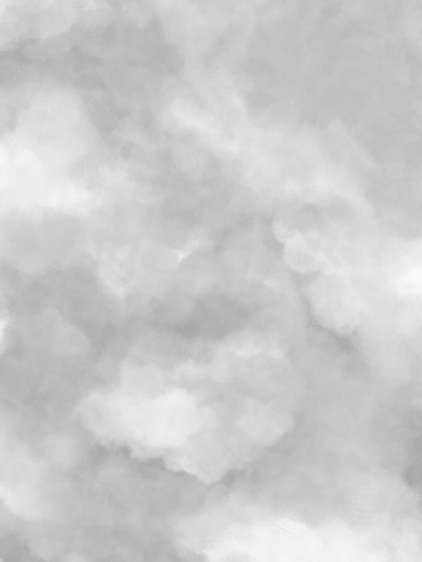 Sky - 9558W Mural
