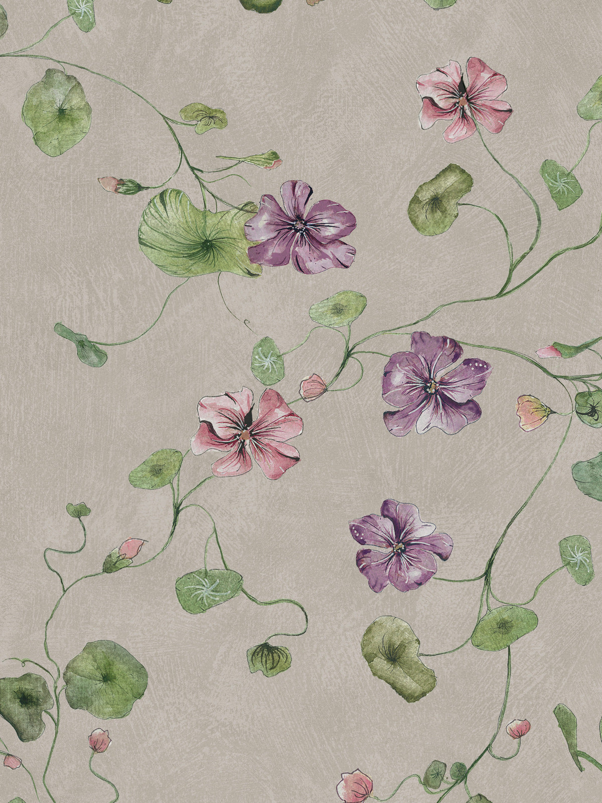 Violetta is a cozy, floral wallpaper, covered with delicate yet vibrant nasturtium flowers in pink and violet on a warm gray background, resembling a lime wall. 