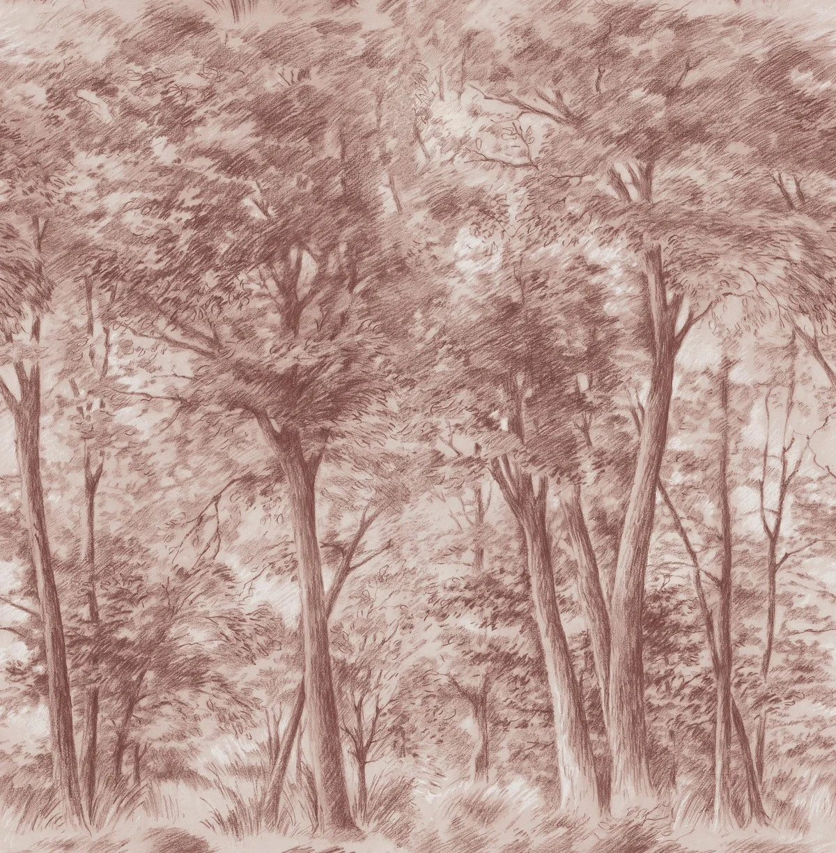 Sketch of Trees wallpaper mural captures a forest scene paused in perfect stillness – and yet it breathes movement, like a whisper of wind caught in time. 