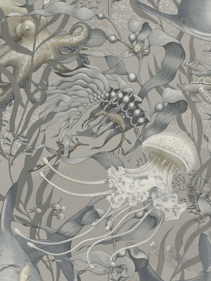  Welcome to the deep sea! The Underwater Magic Grand wallpaper is covered in a large-scale underwater forest of swaying kelp, filled with starfish, jellyfish, turtles, octopuses, and other fascinating creatures. 