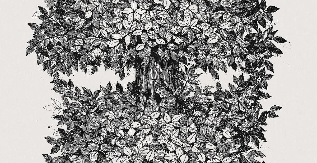 Here, the Hassel mural wallpaper comes in a black-and-white palette, just like Gråsten’s original design. The wallpaper is printed to measure for your wall.