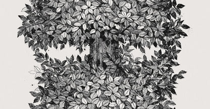 Here, the Hassel mural wallpaper comes in a black-and-white palette, just like Gråsten’s original design. The wallpaper is printed to measure for your wall.