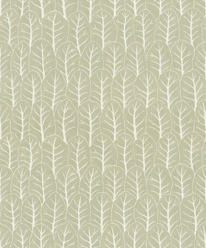 Coleslaw Laurel Green - 02-15